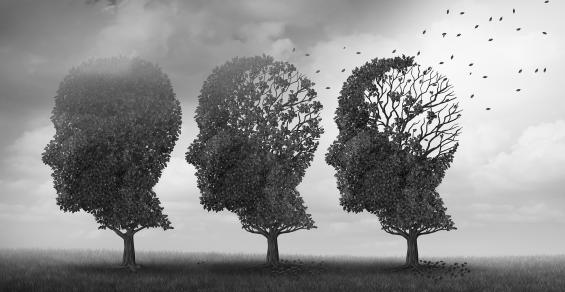 Aging and the Impact of Cognitive Decline on Investment Decisions