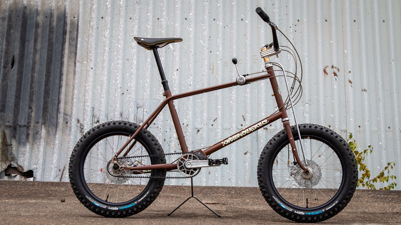 Stick Shift Pinion Mini Velo Proves Woodpecker’s Bikes Are as Fun as the Name