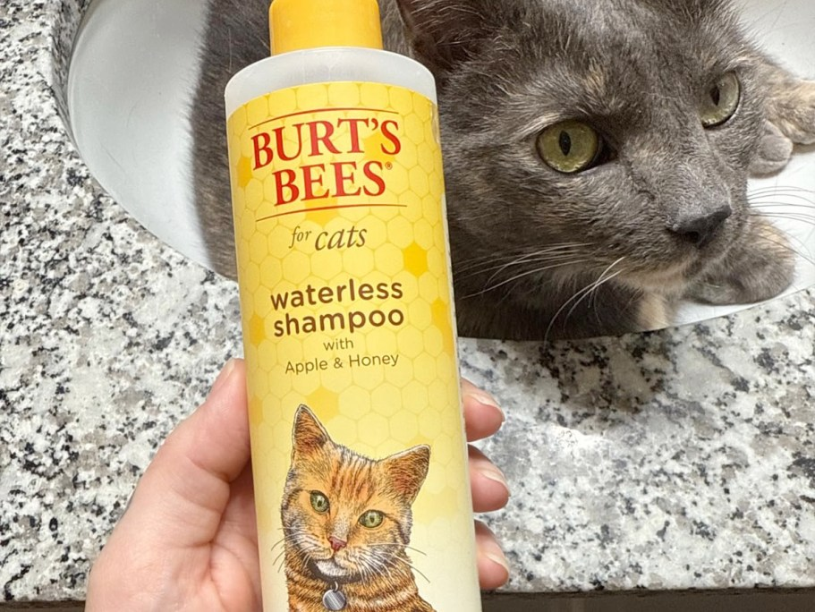 Burt’s Bees Cats Waterless Shampoo Only $3.57 Shipped on Amazon (Reg. $10)