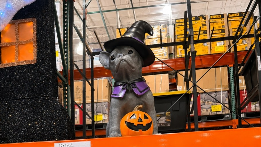 Halloween Is Creeping Into Costco & These Porch Greeters Are Scary Cute!