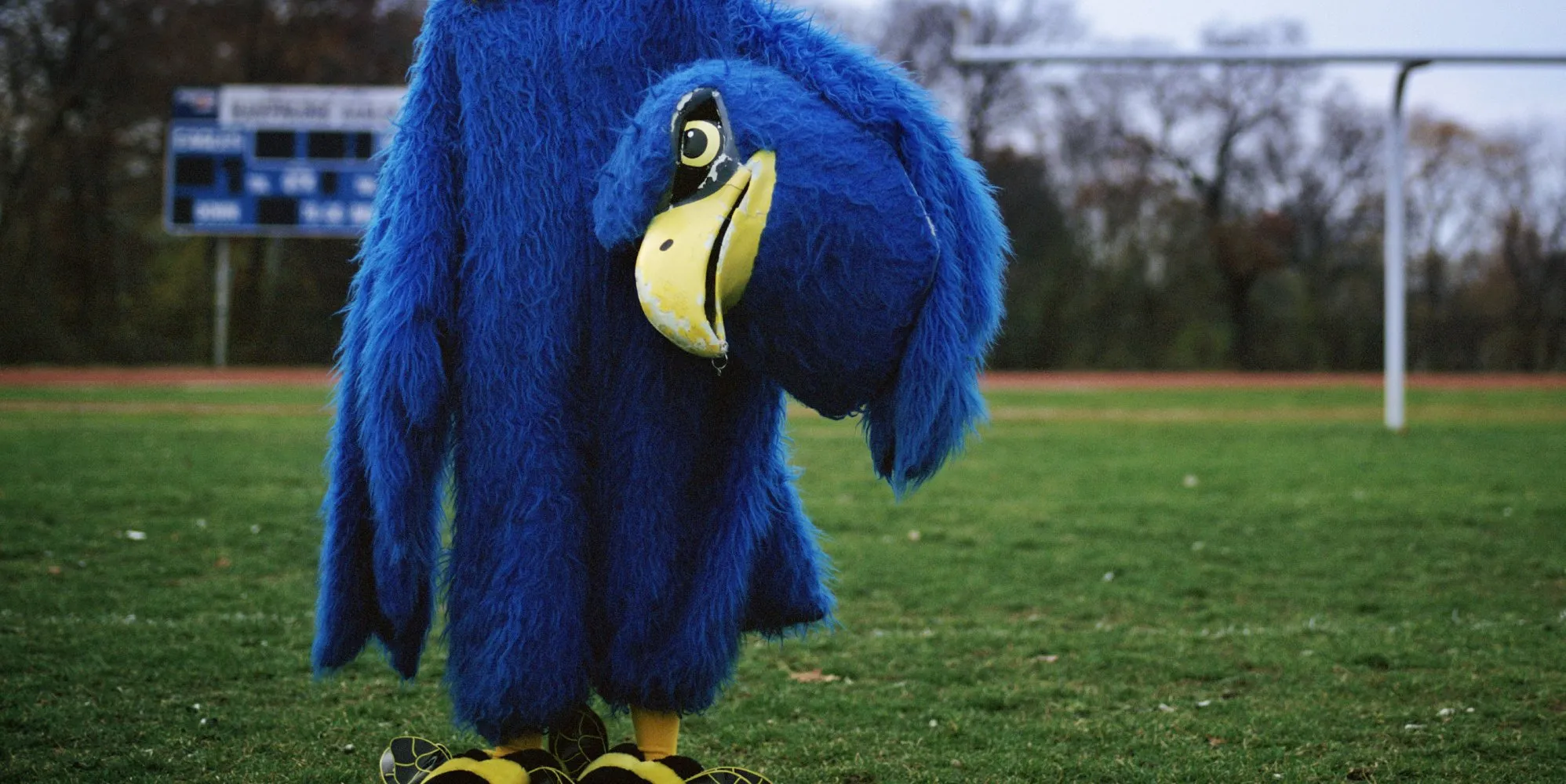 Trump admin ‘targeting’ school district over male mascots on girls’ team