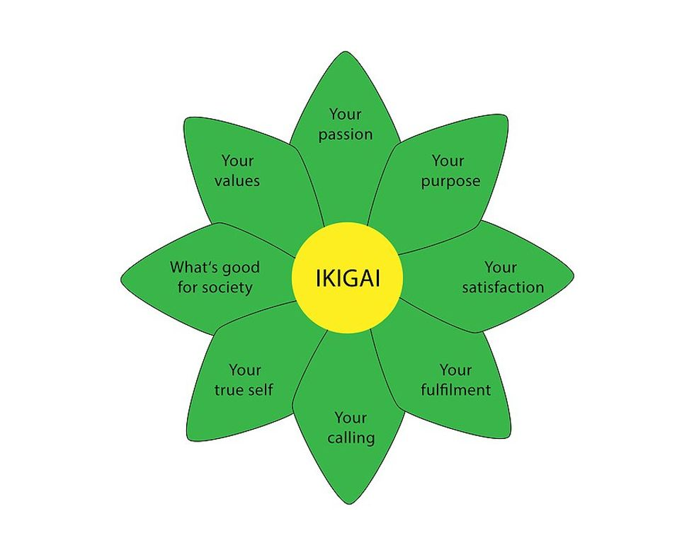 Ikigai: Are You Doing What Brings You Joy?