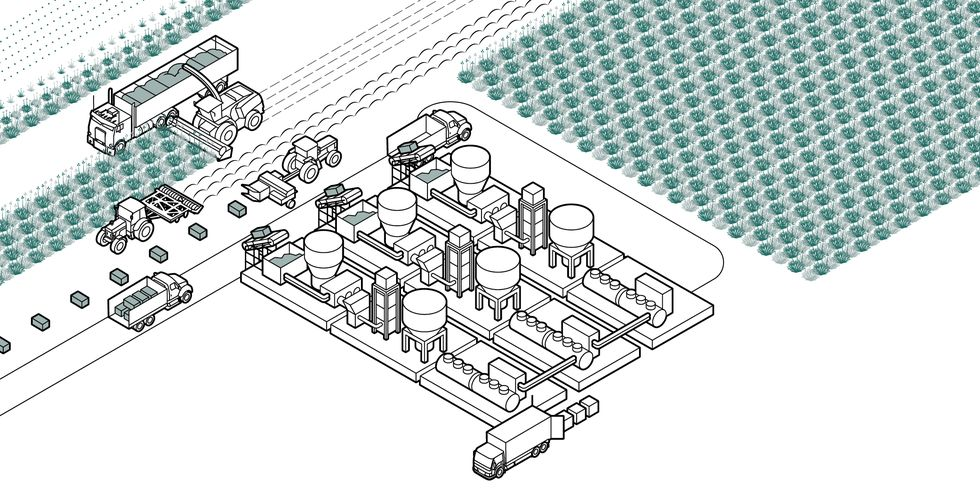 This Alternative to Rubber Could Transform How Tires Are Made