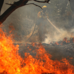 New fire-resistant California homes may offer a model for rest of US