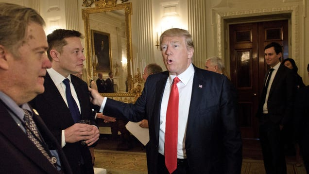 Cash-Strapped Donald Trump Wants The Money Elon Musk Claims He Has [Update: Musk Says No]
