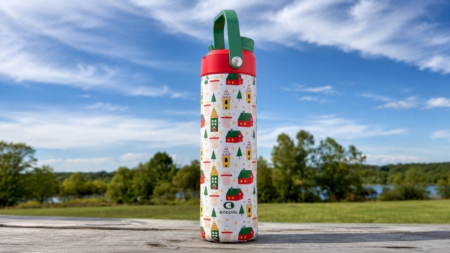 GO! Owala-Inspired Water Bottles from $4.99 on Amazon | Cute Holiday Prints!