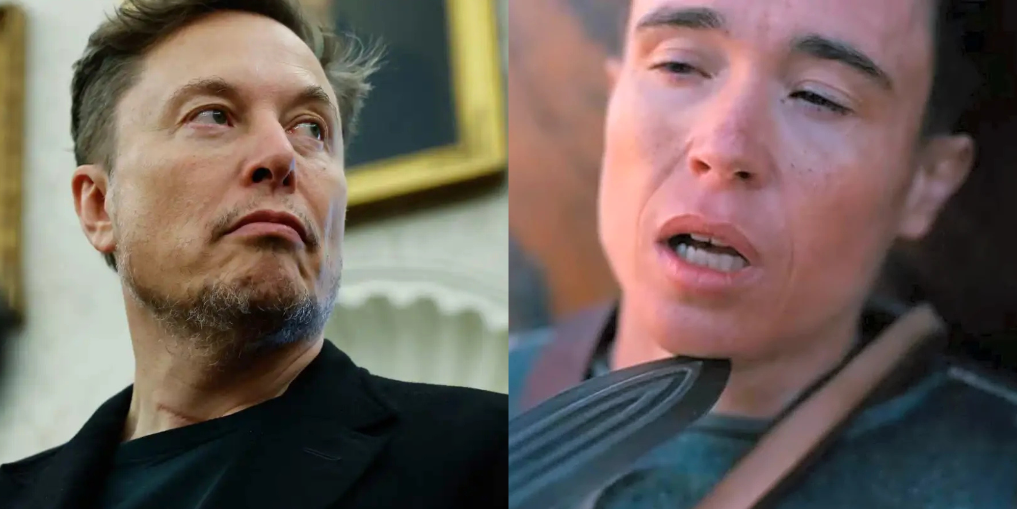 Elon Musk threatens to make ‘historically accurate’ version of The Odyssey with Grok