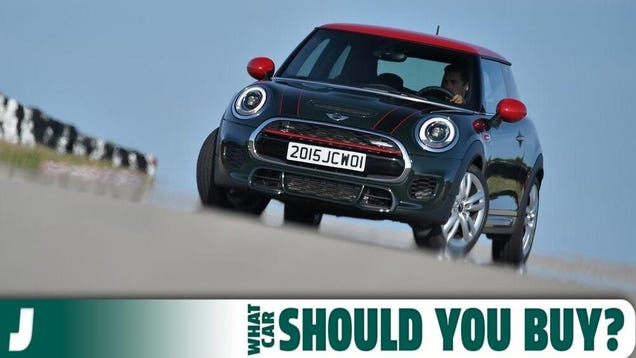 I Adopted Dog Number Two And My Mini Is Too Small! What Car Should I Buy?