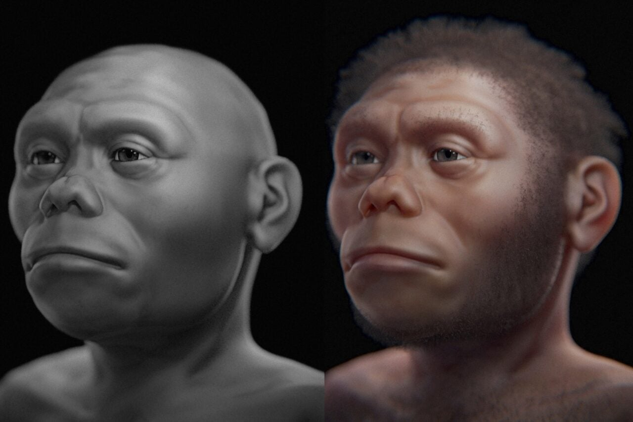 Here’s How This ‘Hobbit’-Like Human Ancestor Survived on an Island with Komodo Dragons