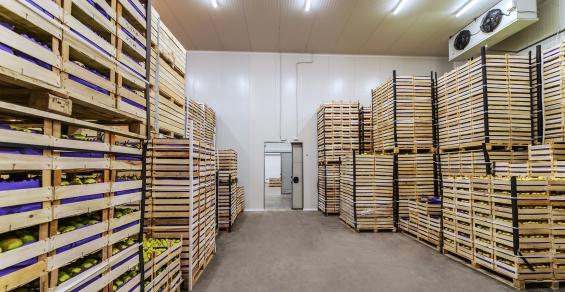 Rising Online Grocery Sales Power Investment in Cold Storage Facilities