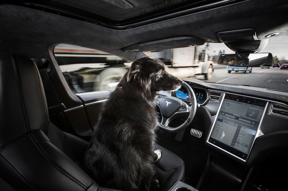 Report: German Police Pull Over Tesla Driver Asleep at the Wheel. Sure.