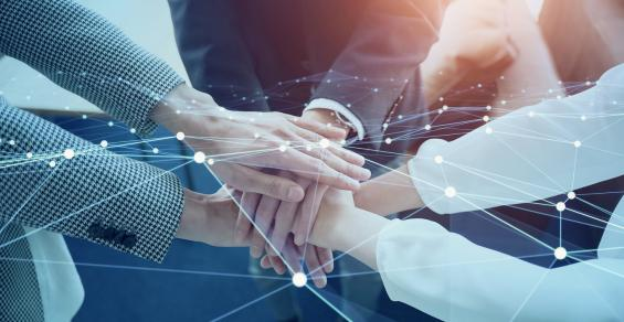 Exploring the Dynamics of Financial Service Partnerships