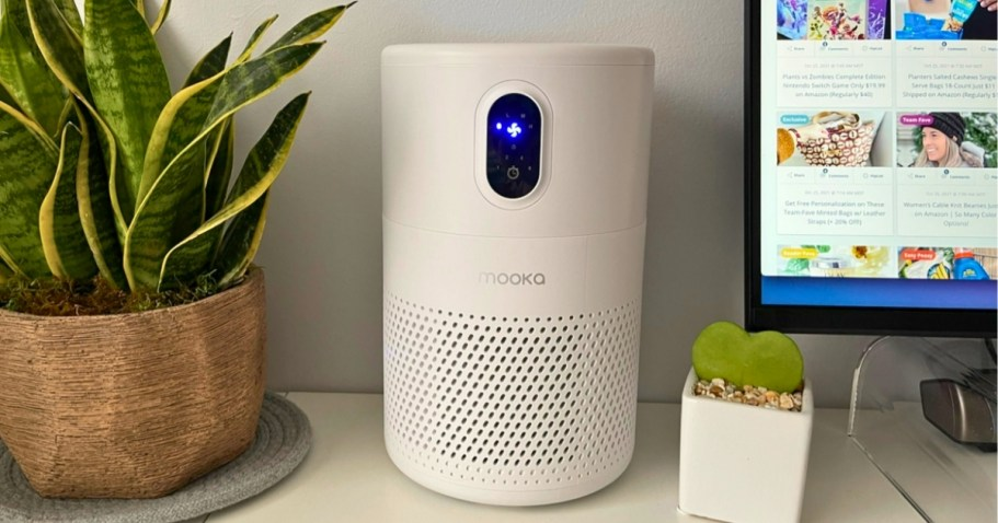 50% Off HEPA Air Purifier on Amazon + Free Shipping | Perfect for Bedrooms & Dorms!