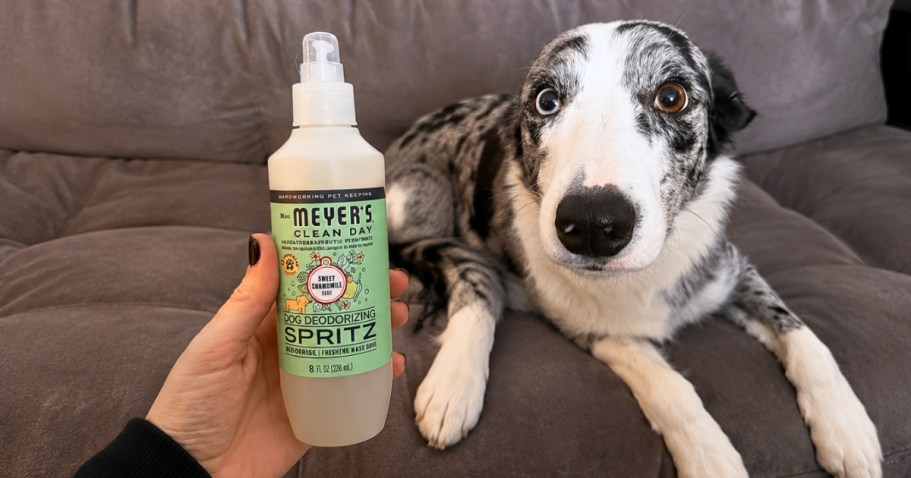 Mrs. Meyer’s Clean Day Dog Deodorizing Spray Just $3.66 Shipped on Amazon (Reg. $8)