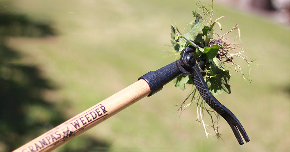 Grampa’s Weeder is a Total Game-Changer for Your Yard (& It’s On Sale for Prime Day!)