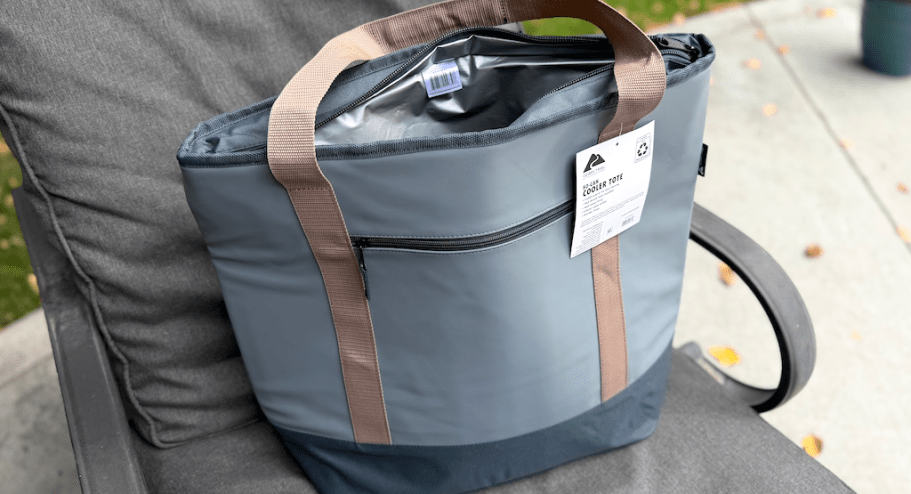 Our Favorite $10 Walmart Cooler Tote Has YETI Vibes for $165 Less!
