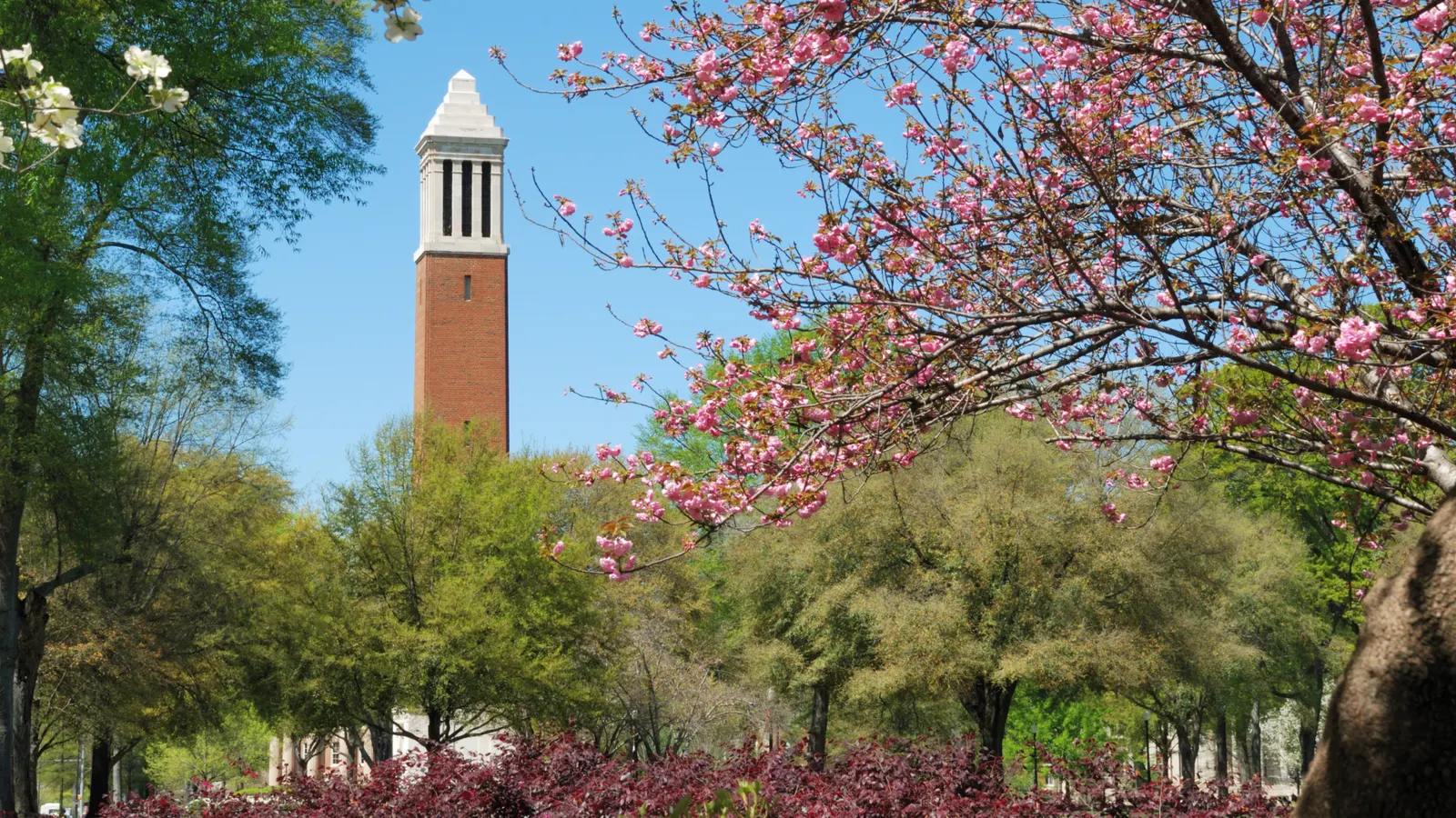Alum launches as college-town hospitality concept, debuting in Alabama