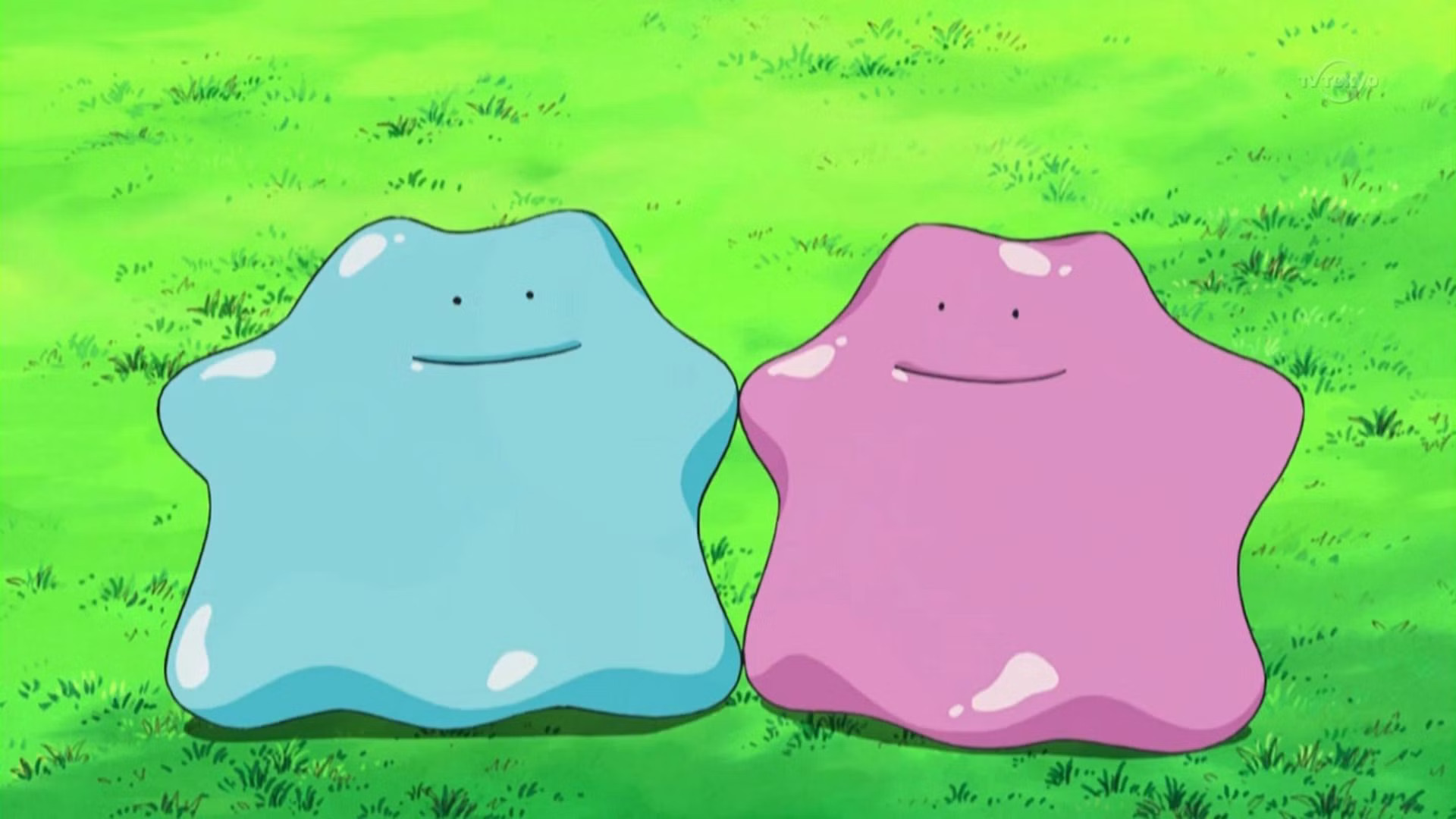 Ditto is an LGBTQ+ Pokemon icon, it’s true, and we’ve got the receipts