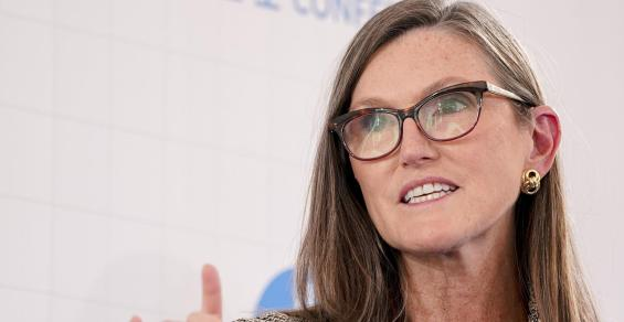 Cathie Wood’s Popular Touch Deserts Her in ARK Flows, Venture Fund