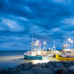 Everything shows during low tide: 3 business lessons from nature