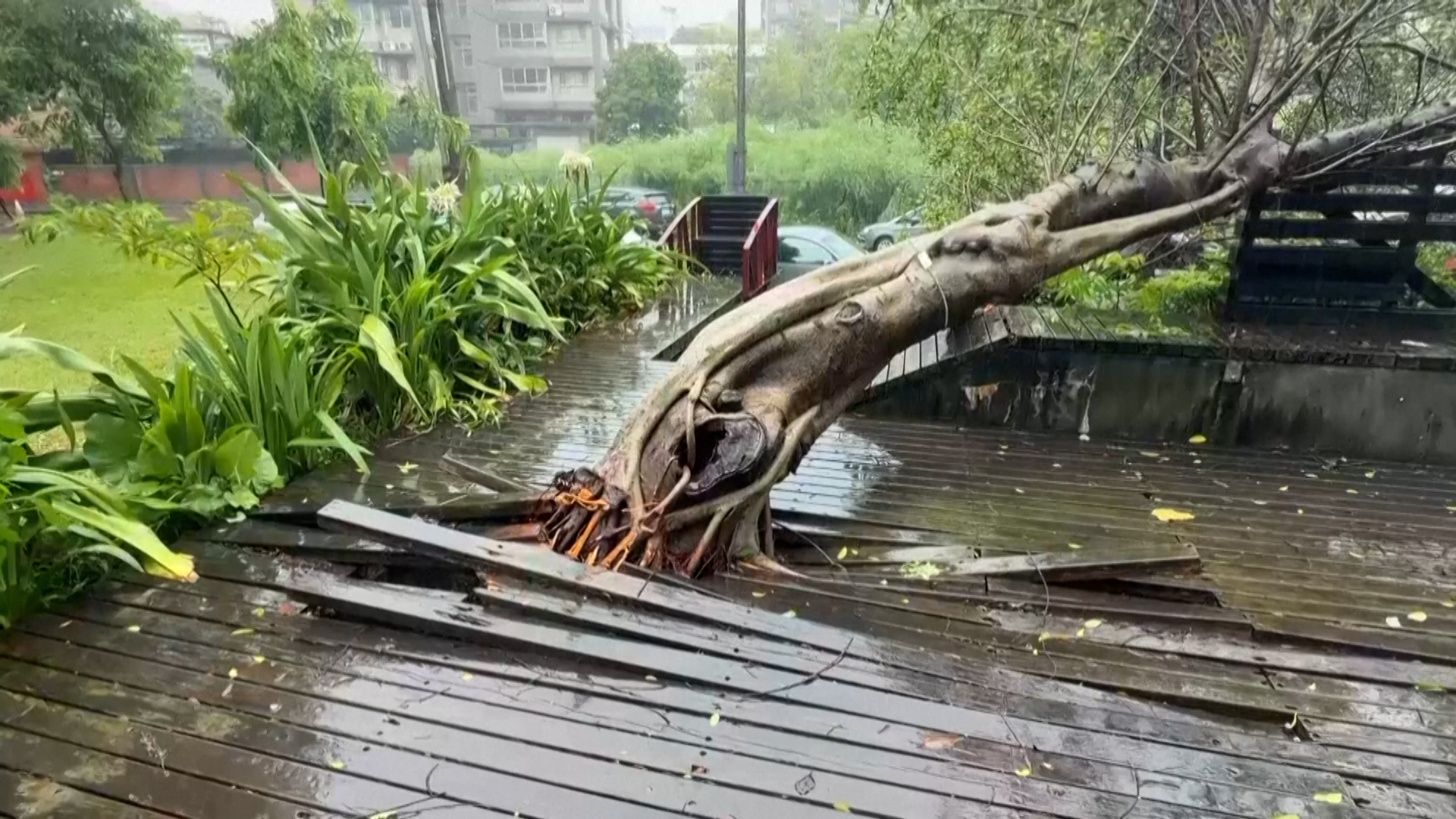 China prepares as Typhoon Bavi leaves Taiwan