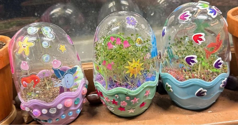 Creativity for Kids Mini Garden Terrariums Only $5 on Amazon (Reg. $12)