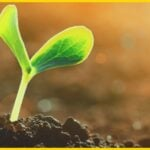 Today marks the dawn of a new day for real estate. Make the most of it