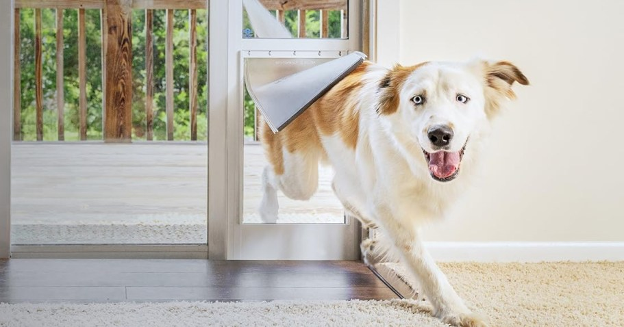 Over $50 Off PetSafe Sliding Glass Pet Door + Free Shipping for Prime Members (Reg. $220)