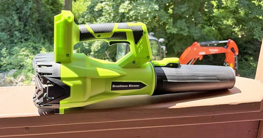 Cordless Leaf Blower w/ 2 Batteries & Charger Just $34.99 Shipped on Amazon (Reg. $100)
