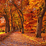 9 fall-friendly social media ideas to spice up your marketing