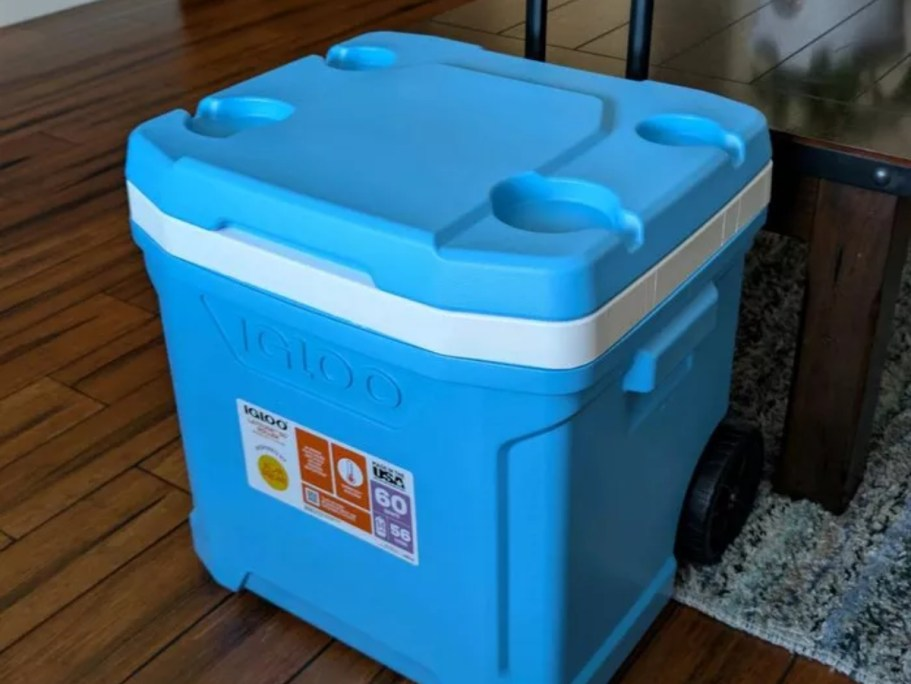 50% Off Sun Squad Coolers on Target.com | 93-Can Cooler Only $25