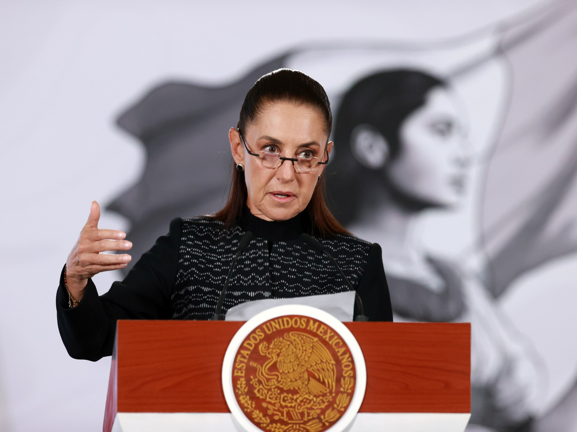 Mexico to seek US criminal complaints over ICE-related deaths of citizens