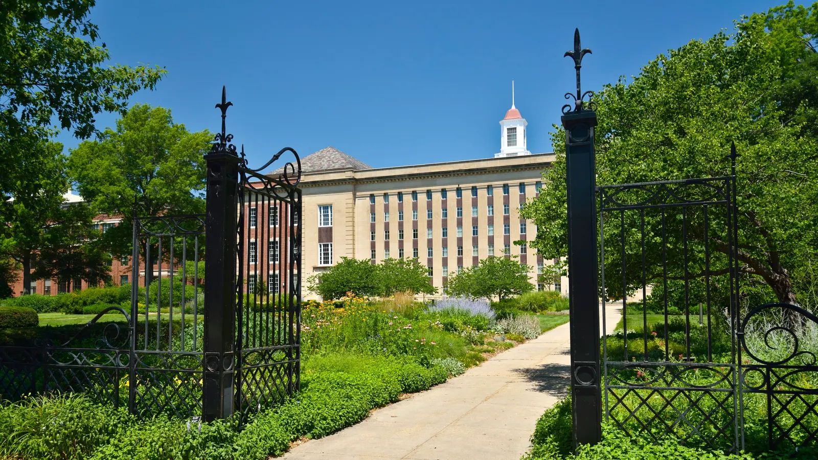 University of Nebraska board approves cutting programs with low enrollment