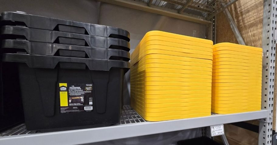 Lowe’s 2-Gallon Stackable Storage Totes Only $3 Each Shipped for Rewards Members