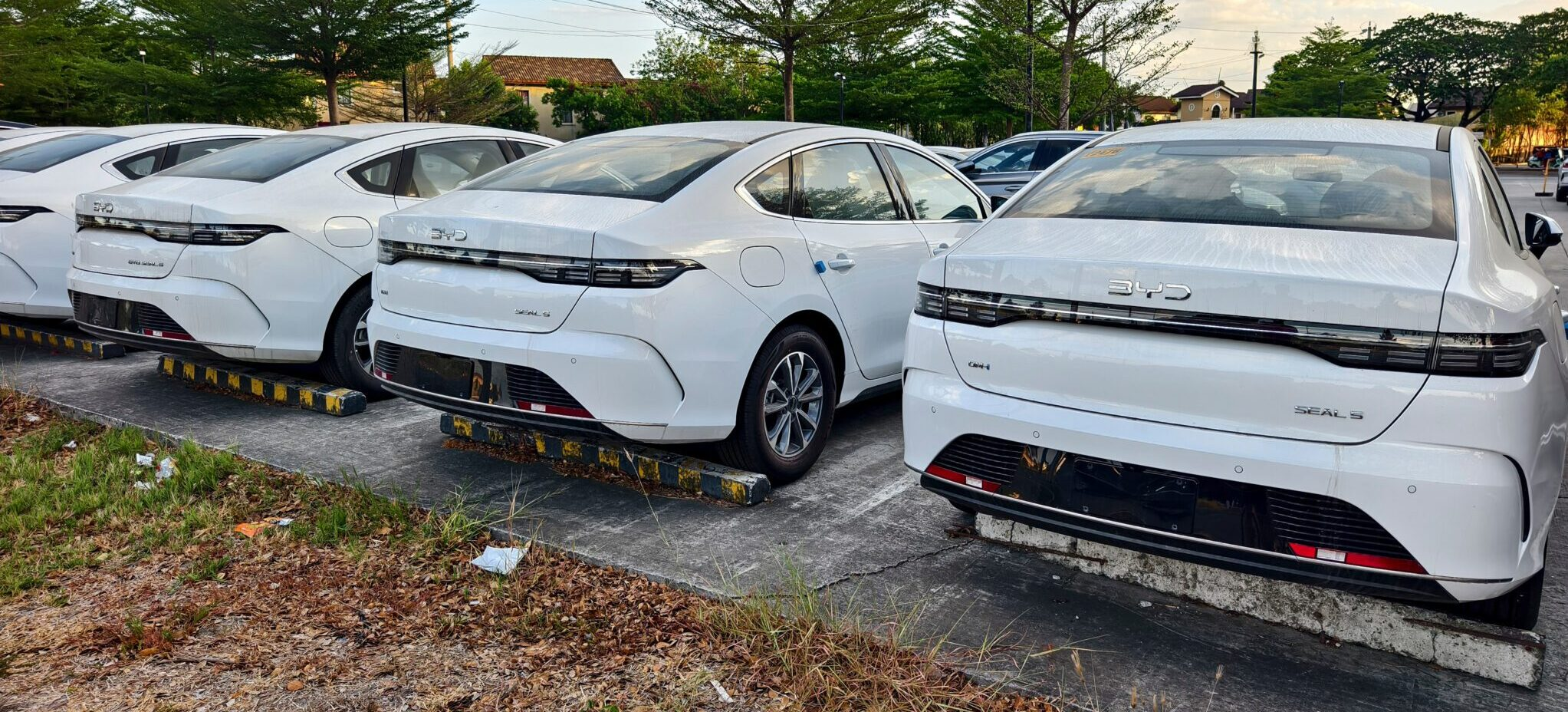 China’s NEV model glut is leaving BYD execs rattled