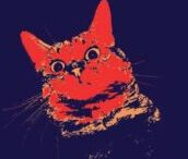 Revisiting Queerguru’s review of CHATTY CATS (from 2015) a must for EVERY cat lover