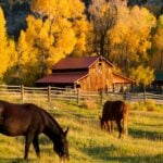 Aspen Valley Ranch, Colorado property sold in pieces for $47M