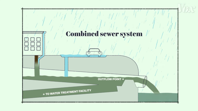 Poopy Water From The Streets Of Paris Is Fouling Up The Olympic Games