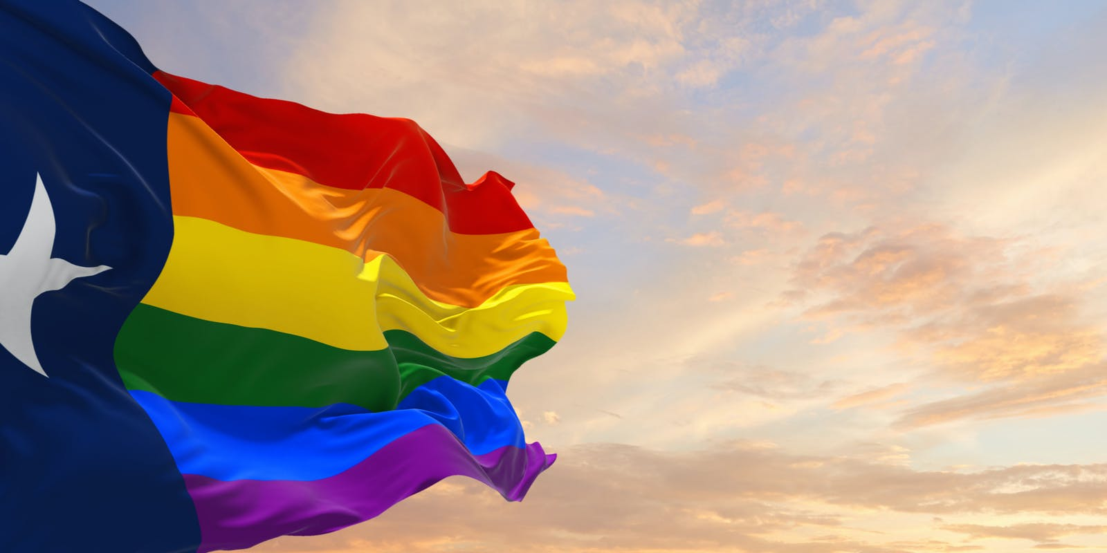 Teachers Should Be Allowed To Come Out in the Classroom. In Texas, An Outdated Law Stands in the Way. 