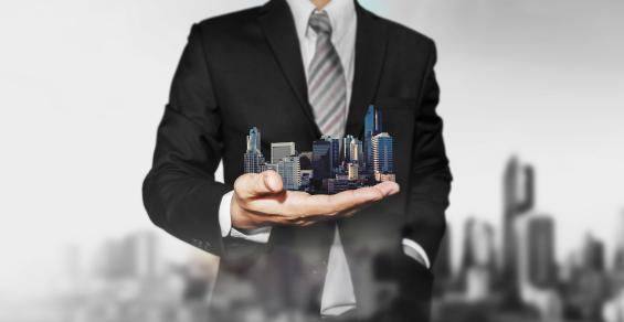 Real Estate Professional Status and Passive Activity Loss Rules 