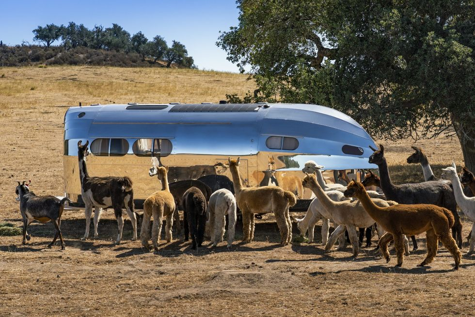 No Grid? No Problem. Bowlus Volterra EV RV Lets You Live Off-Grid 'Indefinitely'