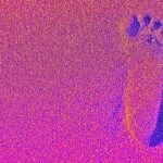 Can Kevin Sears put NAR back on a firm footing? The Download