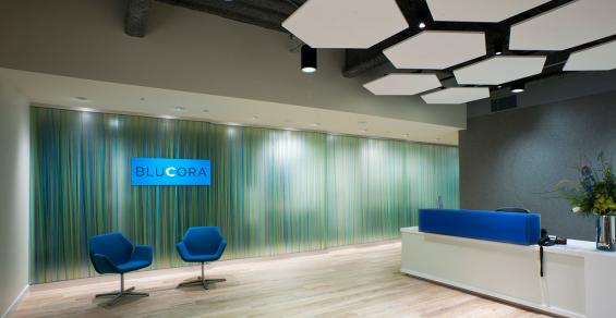 Second Activist Investor Wages Proxy Battle Against Blucora