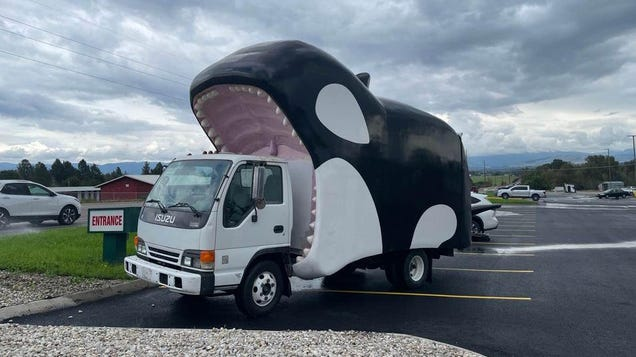 Shortened Volkswagen Bug, Whale Isuzu, Gyrocopter: The Dopest Cars I Found For Sale Online