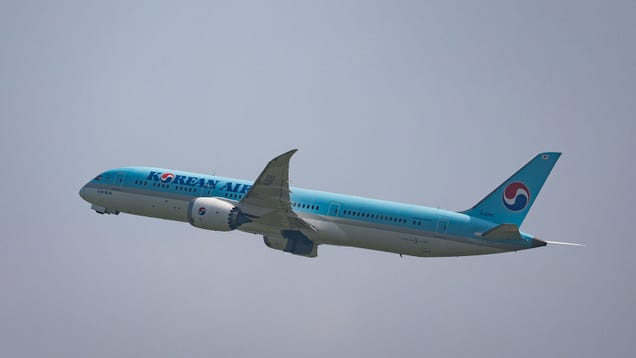 Korean Air Is Recording Passengers' Weight Before Boarding