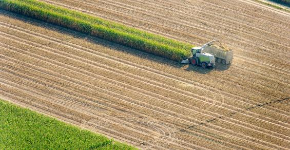 Farmland Produces A New Crop Of Investment Opportunities 
