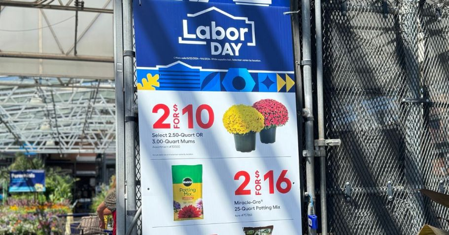 NEW Lowe’s Labor Day Deals Just Dropped | 39¢ Pavers, $7.98 Totes & More